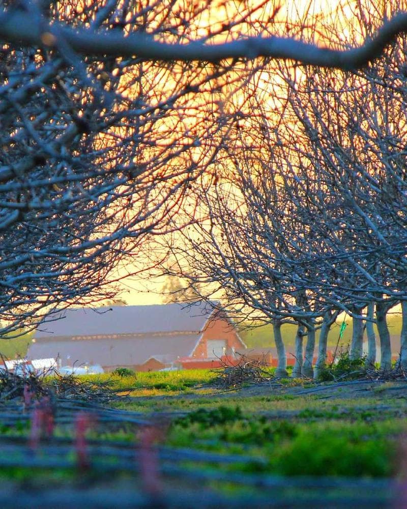 Victorian terrace renovation in Clapham